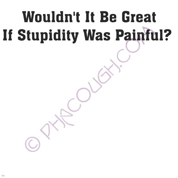 Wouldn't It Be Great If Stupidity Was Painful